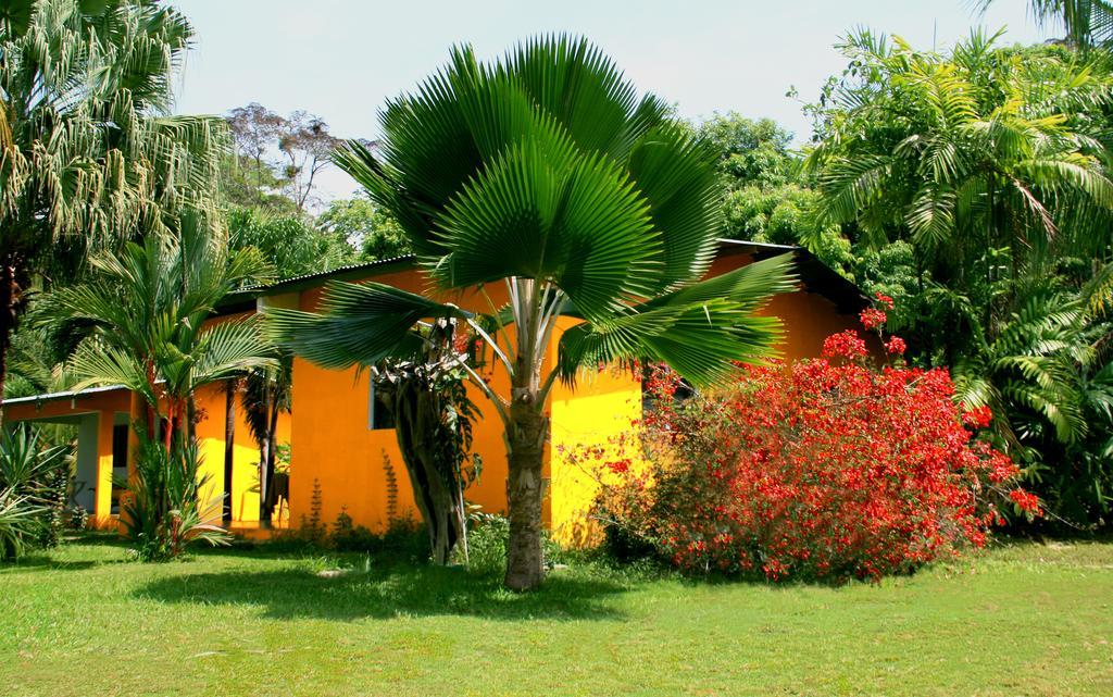 El Ranchito Surfcamp Hotell Pedregal Exteriör bild