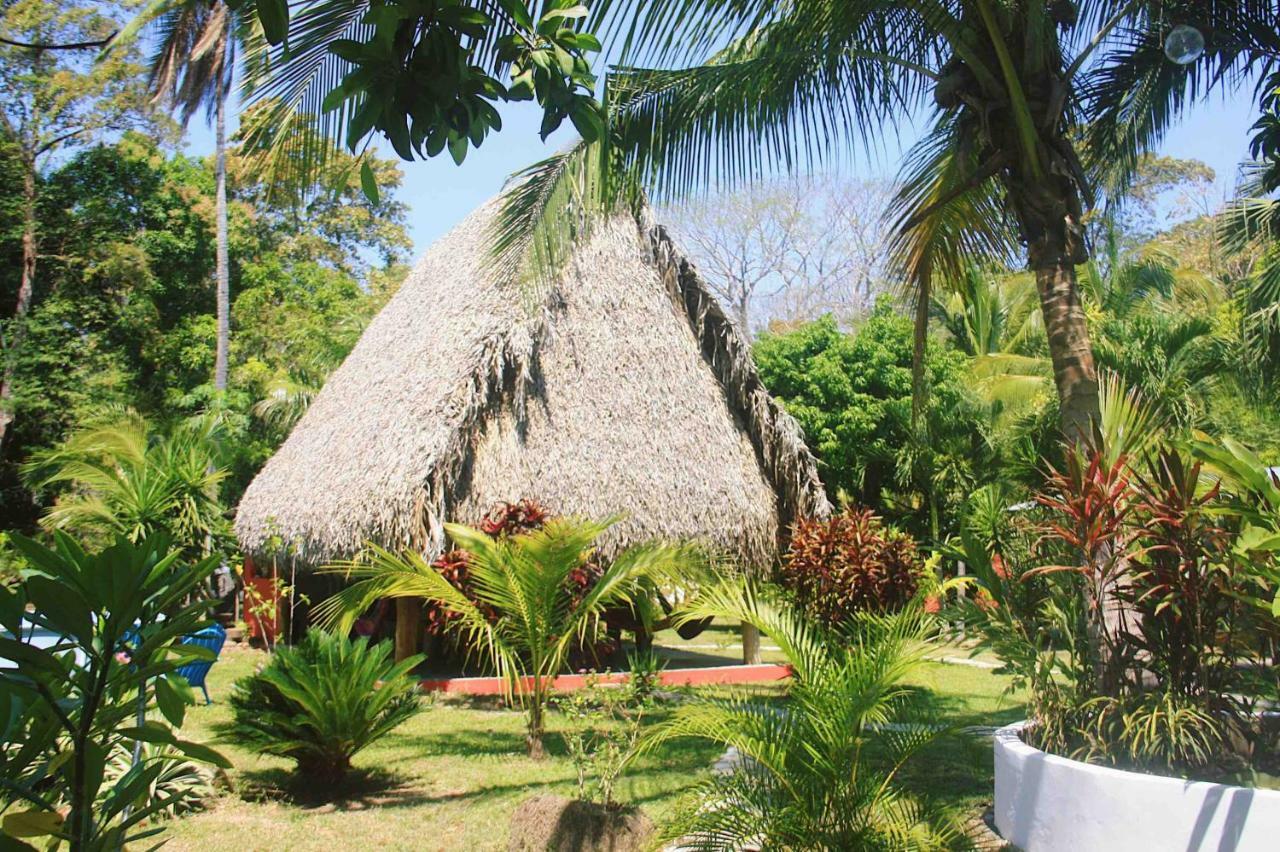 El Ranchito Surfcamp Hotell Pedregal Exteriör bild