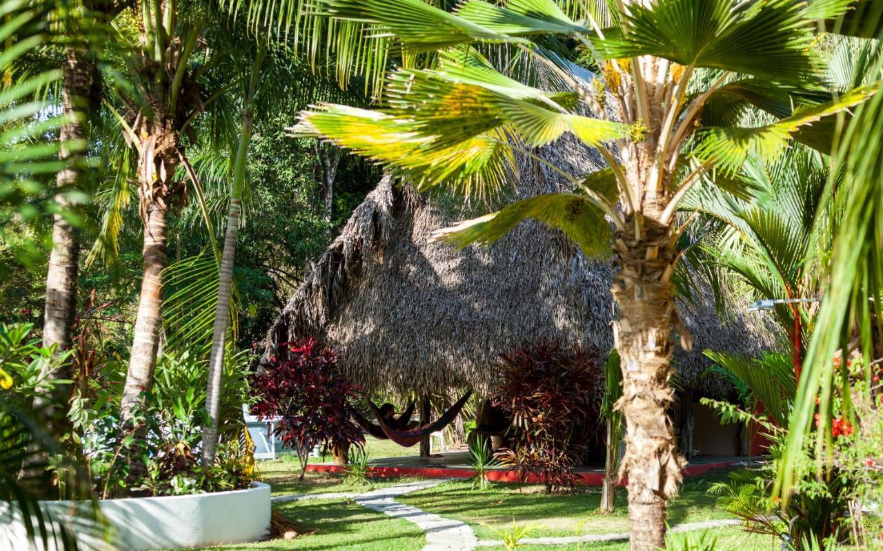 El Ranchito Surfcamp Hotell Pedregal Exteriör bild
